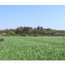 무릉2리(인향동) 이미지