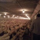 김준농장 이미지