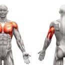 404피트니스 신항점 이미지