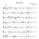 꽃비나비 Daum카페