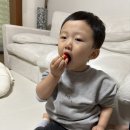 딸기어린이집_경계 이미지