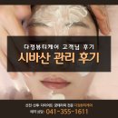 에스테틱 다정 이미지