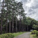 경성중학교 | 경희궁, 무료 관람 및 주말 나들이, 서울 가볼 만한 곳