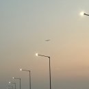 슈슈슝 | 말티푸분양후기_인천영종도로 안전하게 슈슈슝!