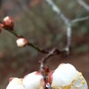 수연민박 이미지