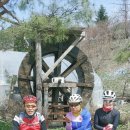 마유산로 Daum카페