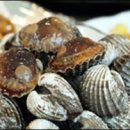 보성장식 이미지