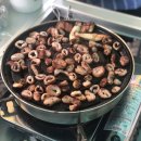 씨앗골캠핑장 이미지