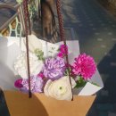 언제라도, 봄 이미지