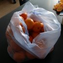 송파구청.방이맛골 이미지