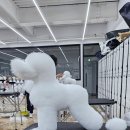벨라루시애견미용학원 이미지