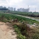 금천1리마을회관 이미지