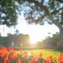 온맘한의원 이미지