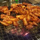 꼼장어네 이미지