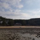 더 해담은 이미지