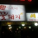 이모네꽃돼지 이미지