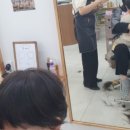 선우미장원