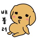 한우뱅이 이미지