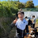 용인대명인태권도장 이미지