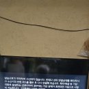 현재 동네 도랑 비랑 동영상 (원본 약초 매니아 카페) 이미지