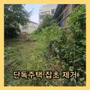 창동철정비마당 | 하남단독주택잡초제거 마당 텃밭 예초 작업 폐기물 처리 업체 후기