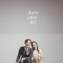 더파인루트