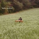 홍이삭 / 안녕, 잘 지내 (원key B) mr 이미지