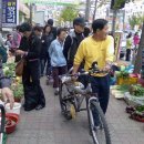 신마산시장 이미지