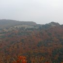 신흥목장 이미지