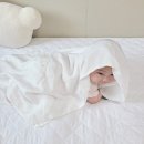 풍기인견쟁이 이미지