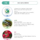 고리울초등학교 이미지