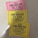 영서로 | 여름방학 춘천 아이랑 갈만한 곳 육림랜드 수영장