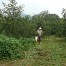 조아농장 이미지