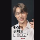 에리오너라 카이 코미디빅리그 이미지