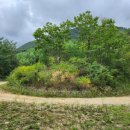 고단보건진료소 이미지