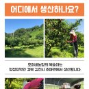 호야네농장