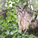 천수만농장 이미지