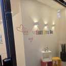 소희 스타일 독 이미지