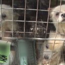 하남농장 이미지