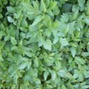 부곡주유소 이미지