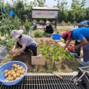 도시농업전문가 과정(80시간) 이미지