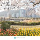연지공원(타고가야) | 김해 연지공원 벚꽃 데이트 부산근교 드라이브