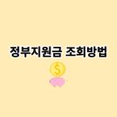 정부지원금