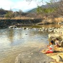 들꽃펜션민박 | 경상남도 함양군 들꽃펜션, 영업시간, 후기, 위치