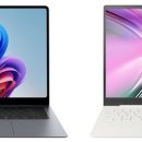 플레이션 이미지