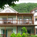 비타민펜션 - 양주시 기산로440번길 110-63 | 비타민펜션