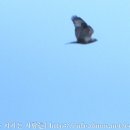 고성리-3 이미지