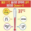 렛츠고온열찜질