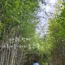 제2주차장(자전거) 이미지