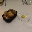 꼬꼬팜 | 칸쿤 신혼여행] PART 4. 칸쿤 여행 (하얏트지바/팜투어/칸쿤올인클루시브/라바스틸/문게이트/코코봉고)